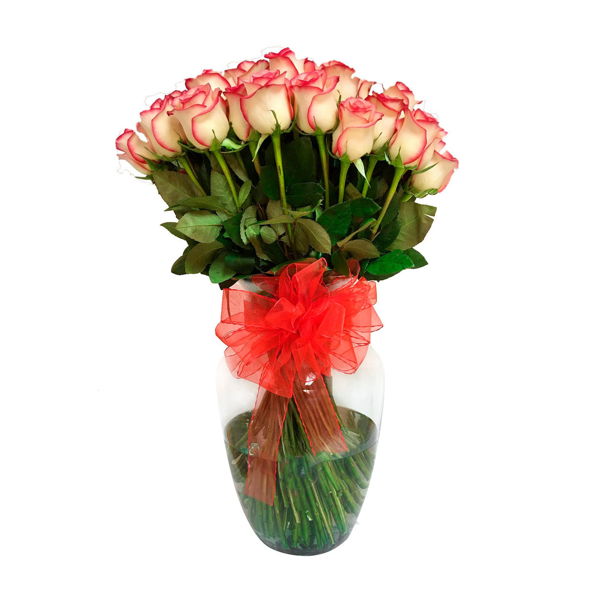 Arreglo con 100 rosas en florero samaritano grande, rosas blush (crema con borde rojo)