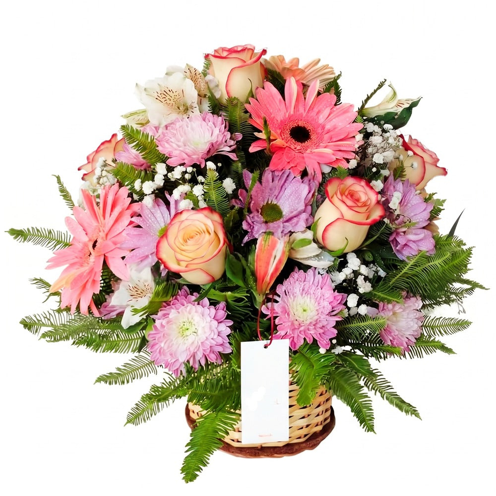 Canasta con 6 rosas, gerberas y flores, rosas blush (crema con borde rojo)