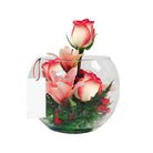Arreglo con 3 rosas y lilium en pecera grande, rosas blush (crema con borde rojo)