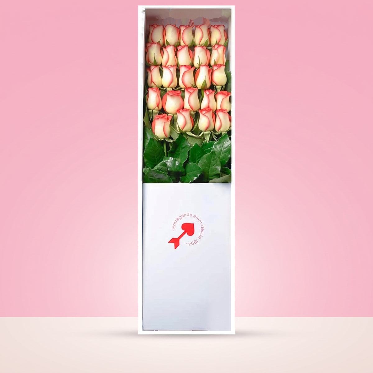 Caja Blanca con 24 Rosas Blush