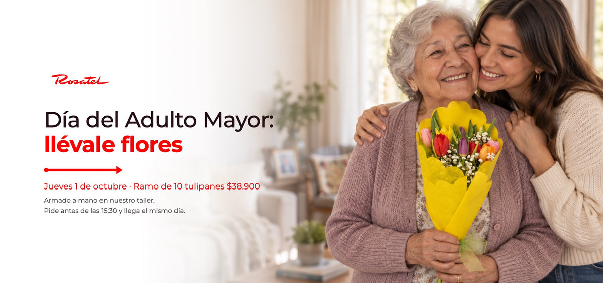 Día del Adulto Mayor: nieta abraza a su abuela, que sostiene un ramo de 10 tulipanes de Rosatel