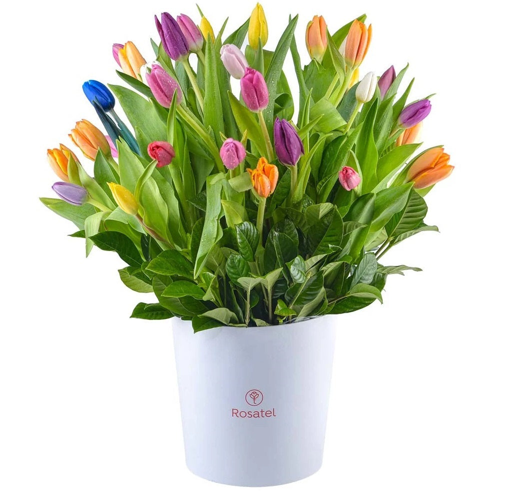 40 tulipanes en sombrerera blanca