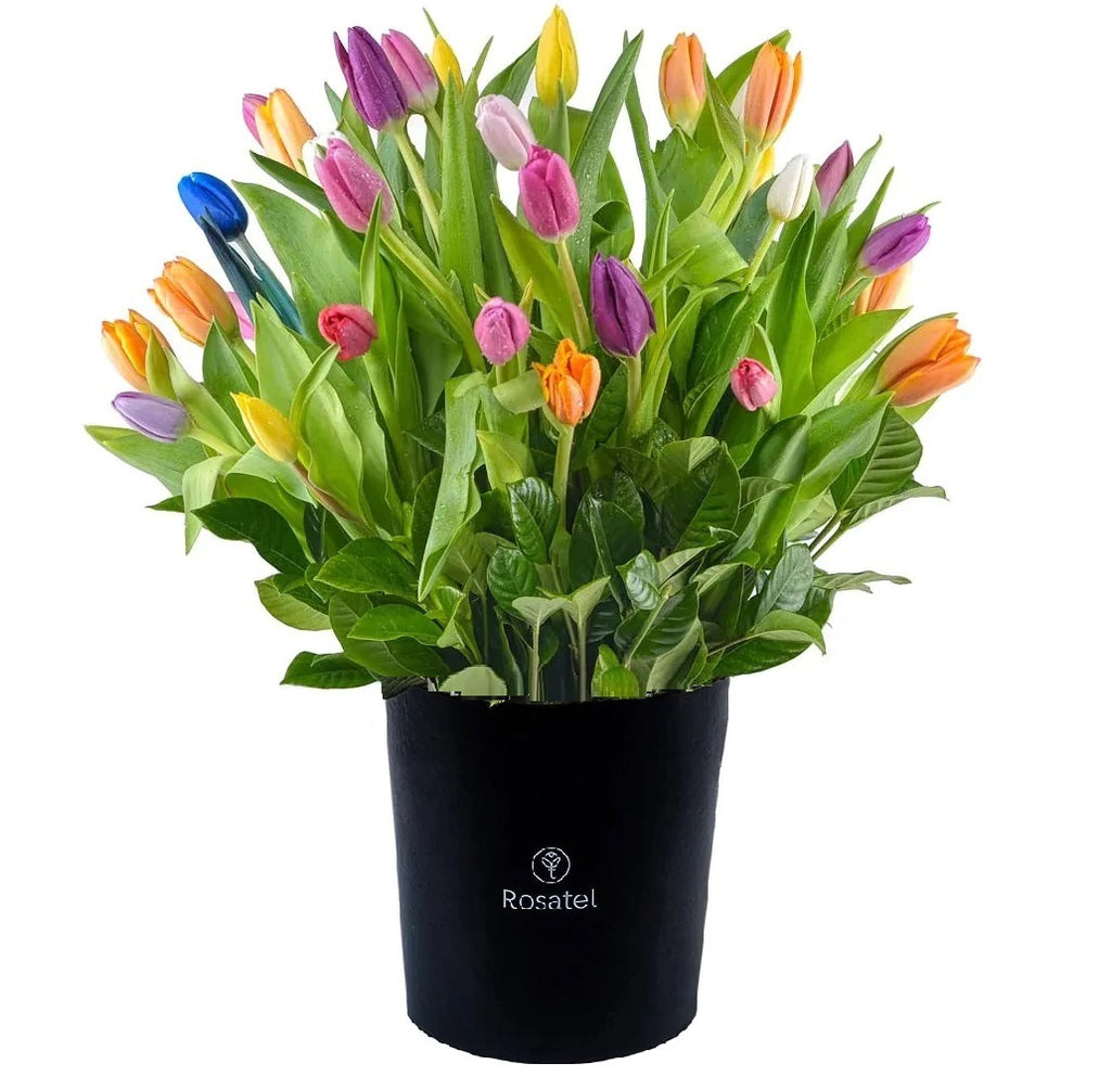 40 tulipanes en sombrerera negra