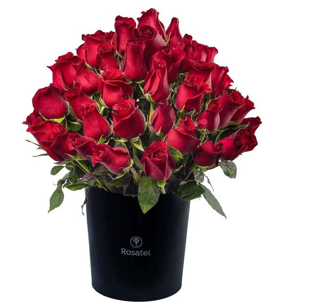 60 rosas sombrerera negra