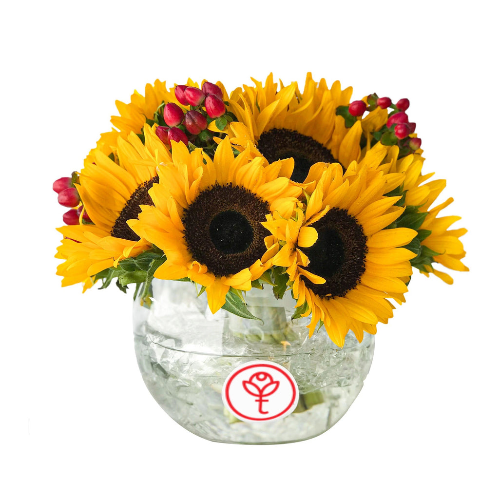 Arreglo 12 girasoles