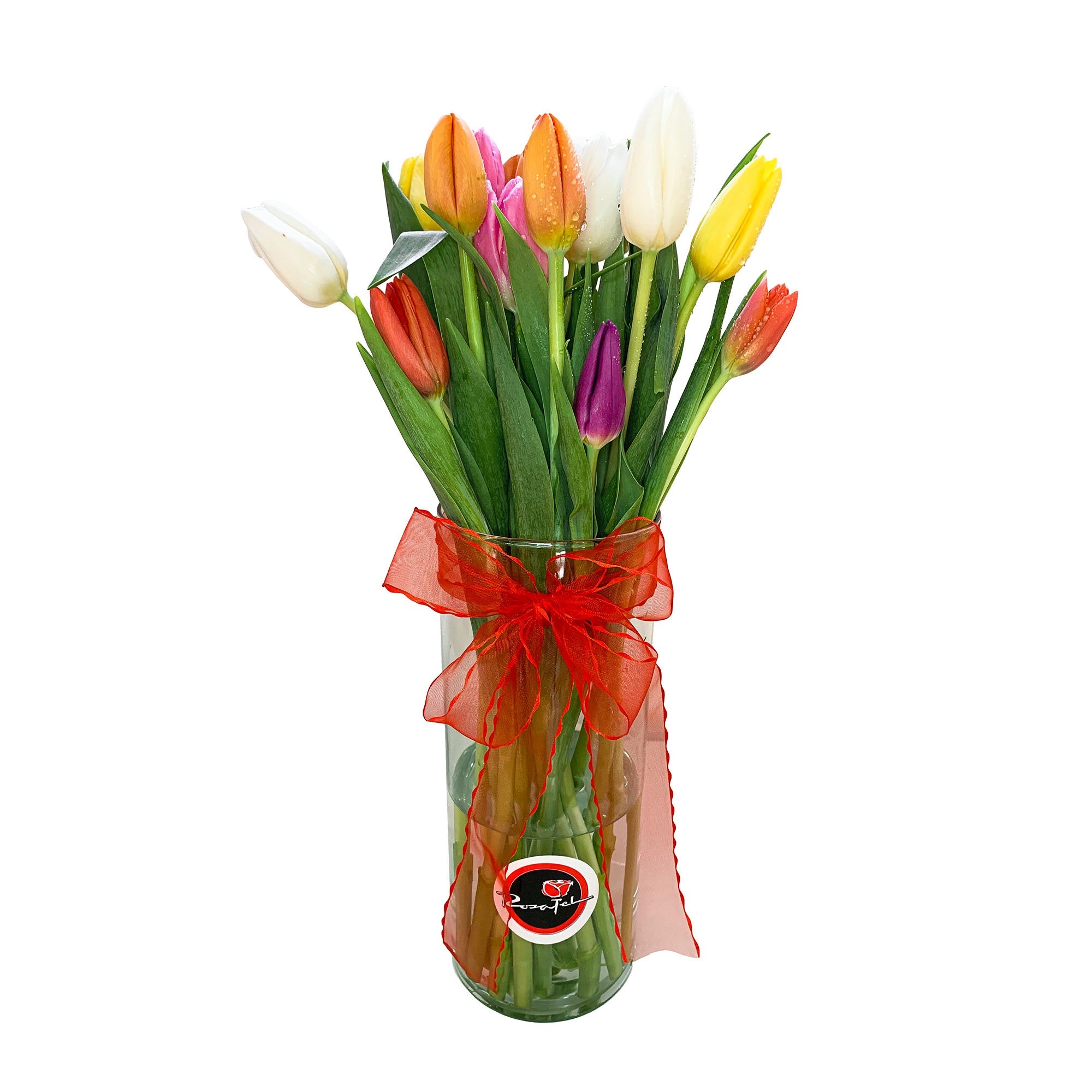 Arreglo 15 tulipanes en florero cilindro