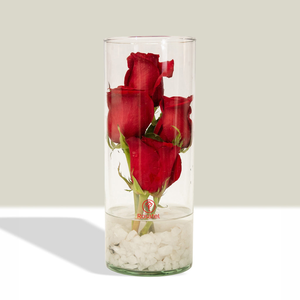 Arreglo 4 rosas y cuarzo en florero velon