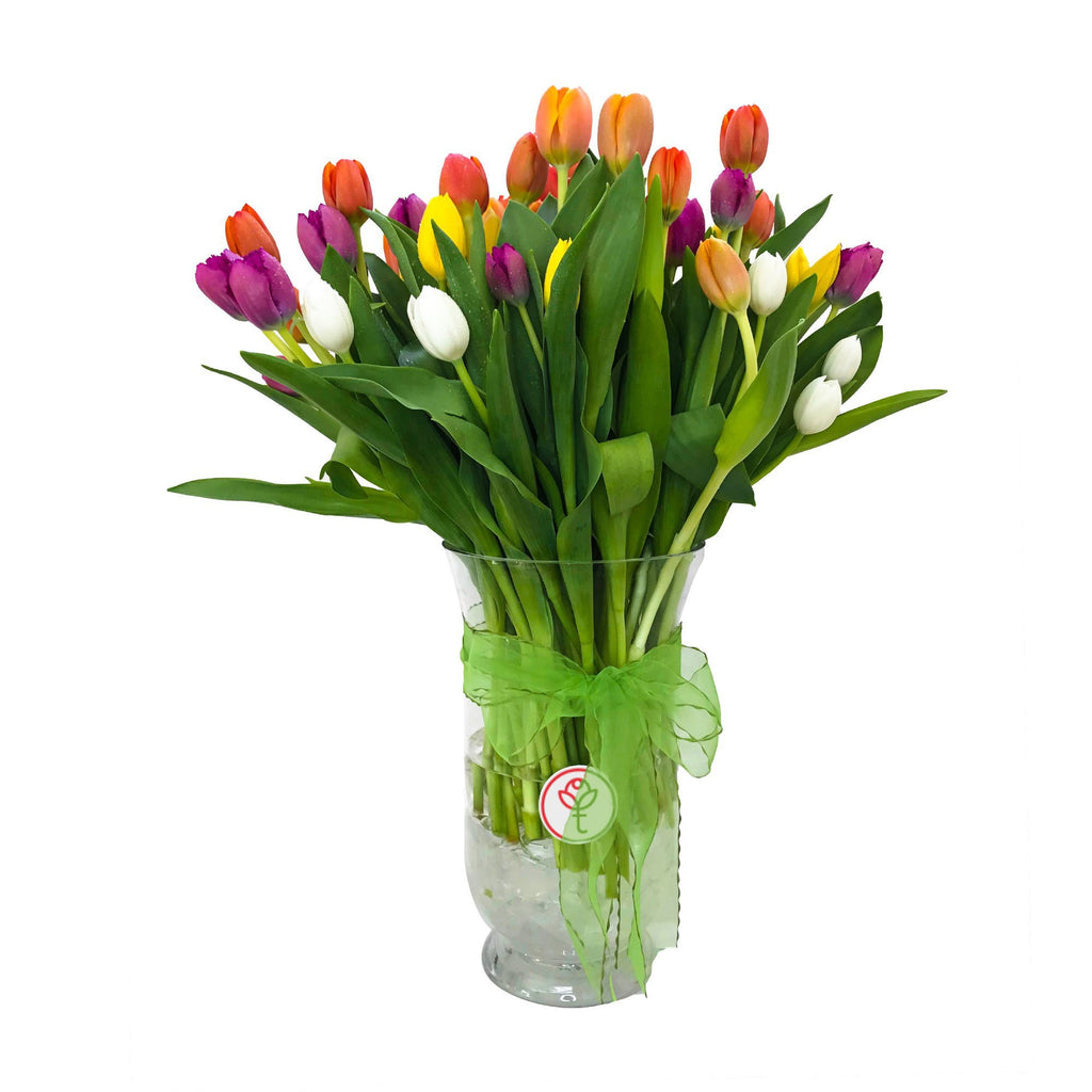 Arreglo con 100 tulipanes