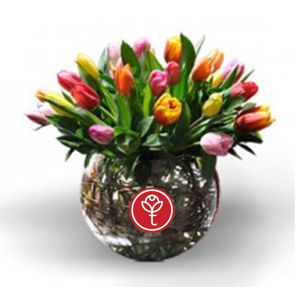Arreglo con 50 tulipanes