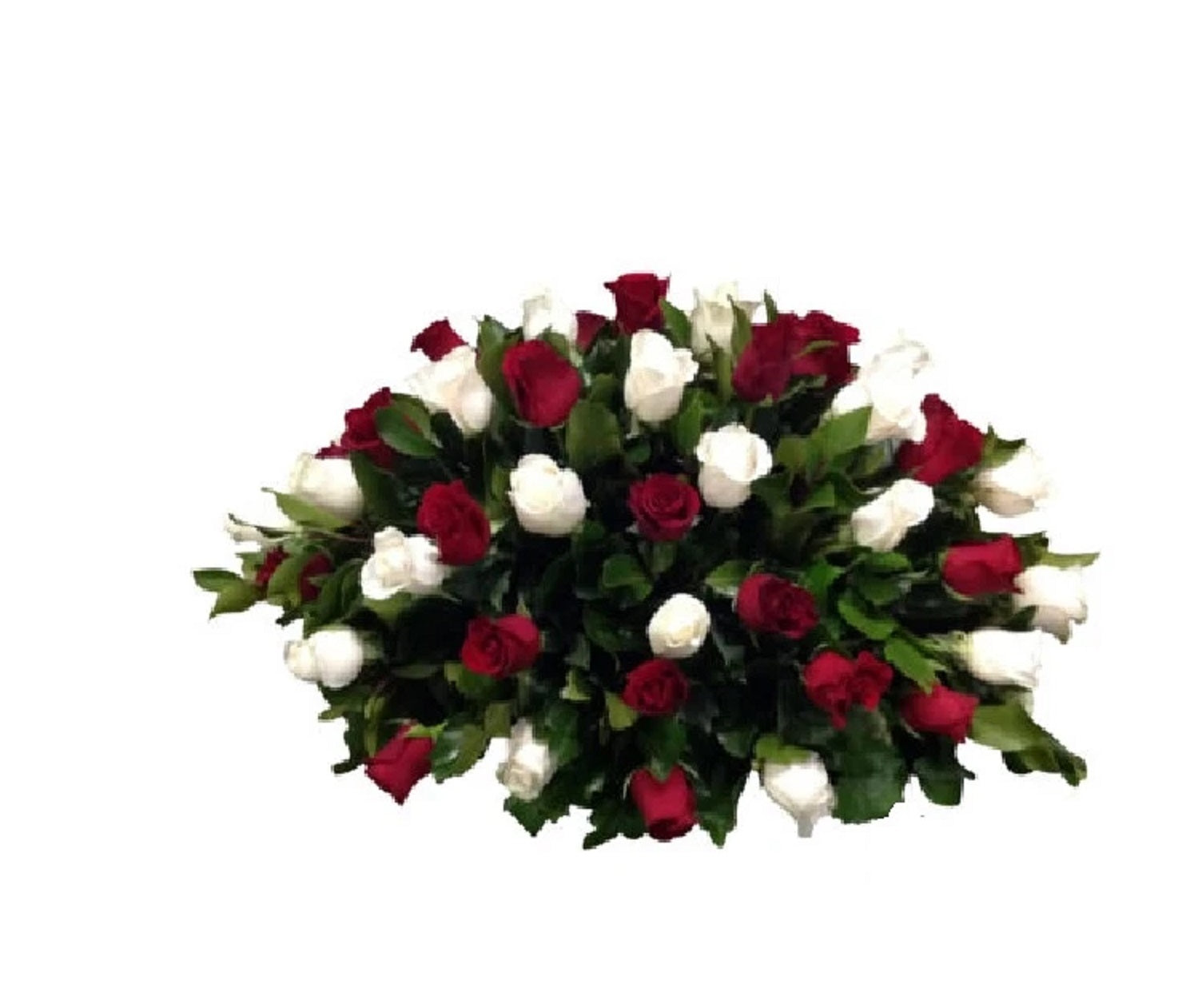 Arreglo condolencias con 50 rosas bicolor