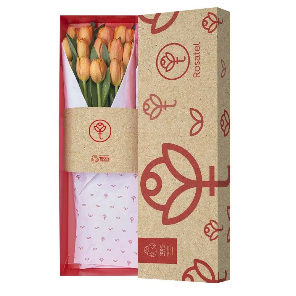 Caja natural con 18 tulipanes