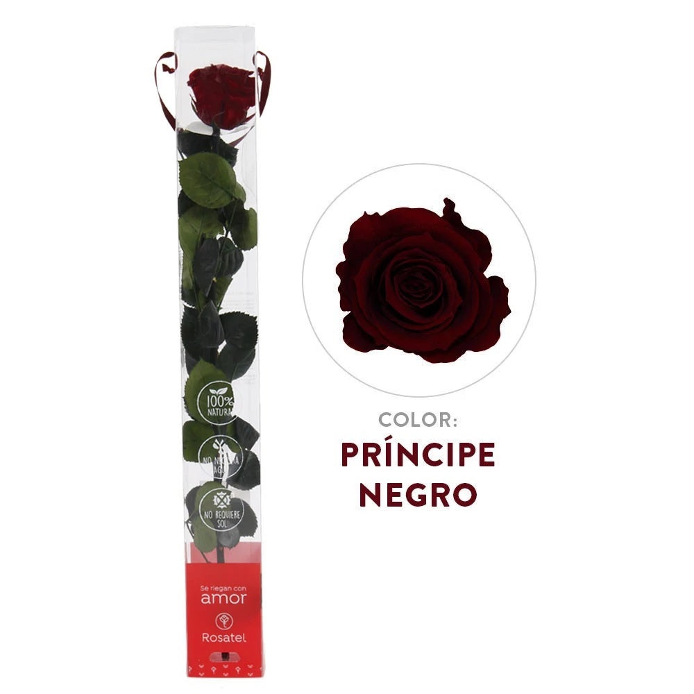 Rosa roja principe negro preservada en caja acrilica