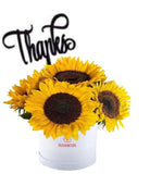 Sombrerera blanca 6 girasoles varilla thanks