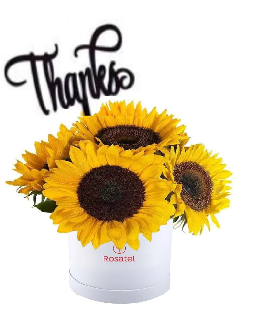 Sombrerera blanca 6 girasoles varilla thanks