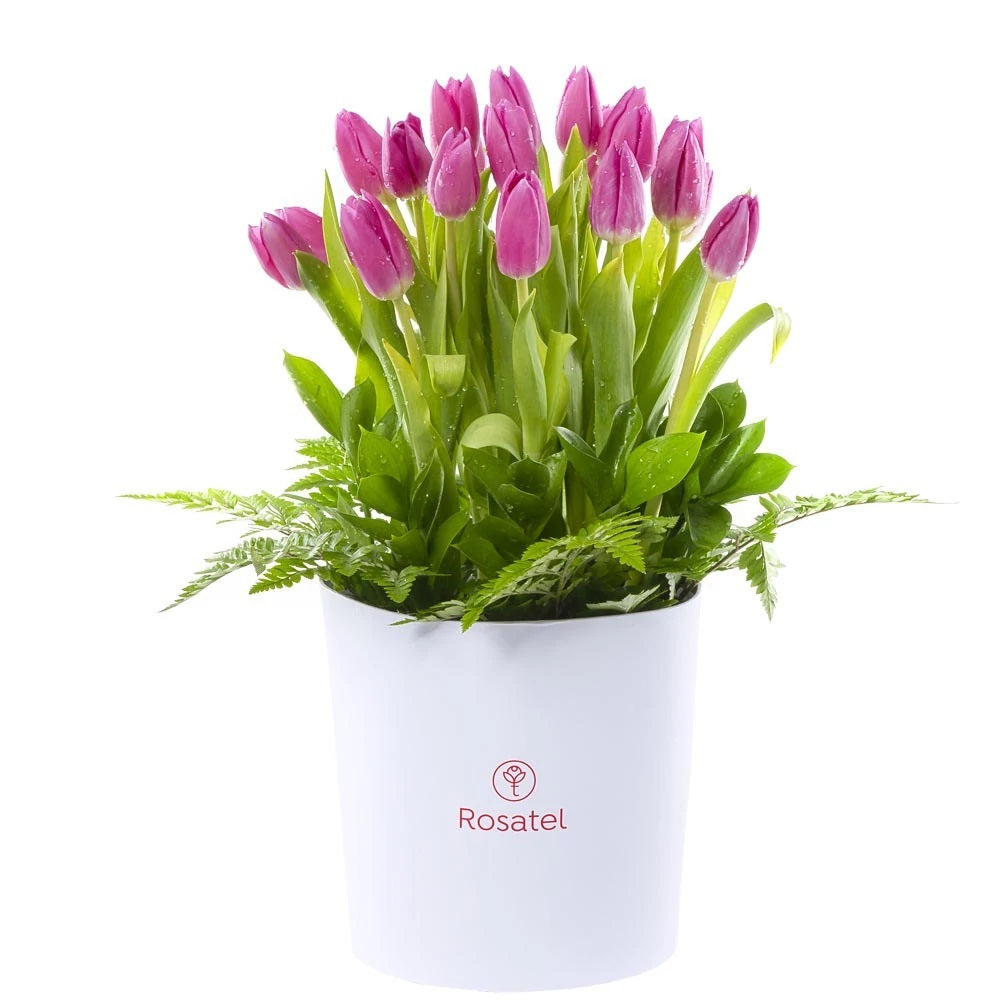 Sombrerera Blanca Grande con 20 Tulipanes Variados – Rosatel Chile