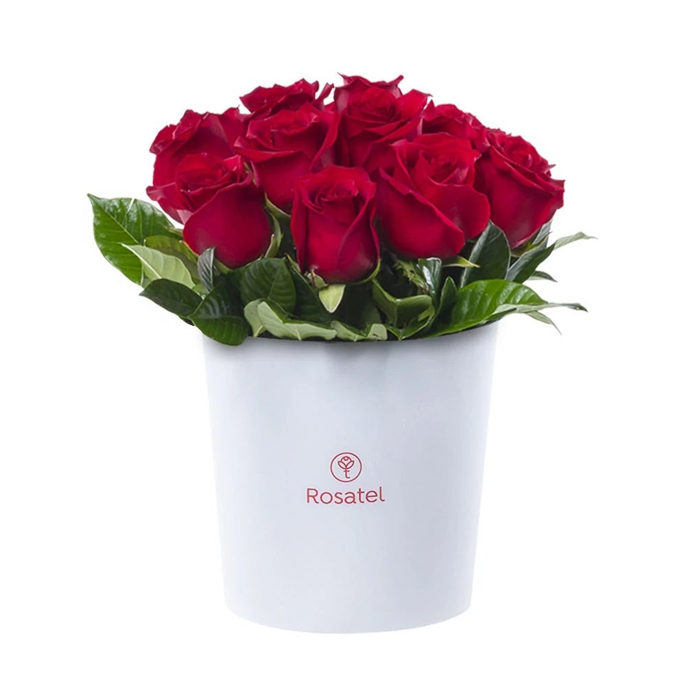 Sombrerera blanca grande 15 rosas rojas
