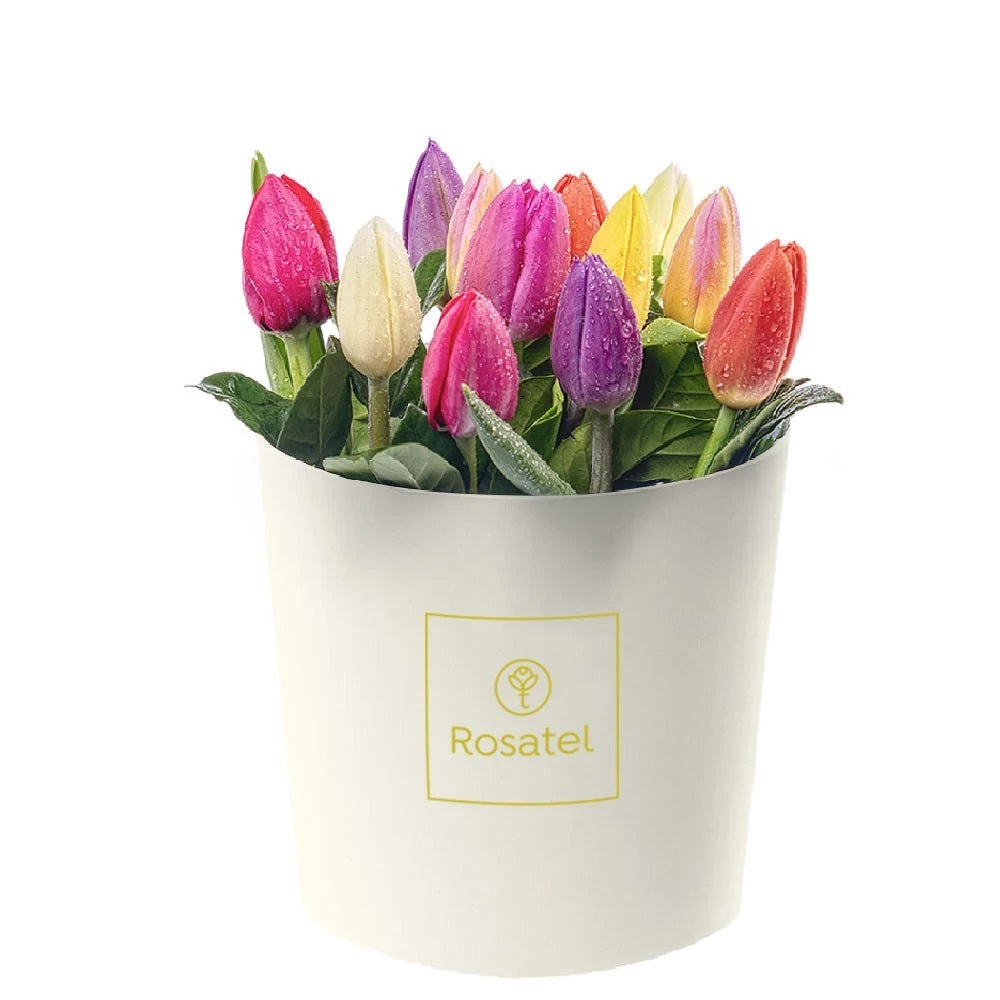 Sombrerera crema 12 tulipanes variados