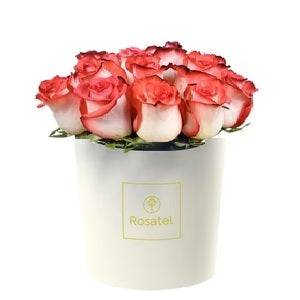 Sombrerera crema mediana 12 rosas blush