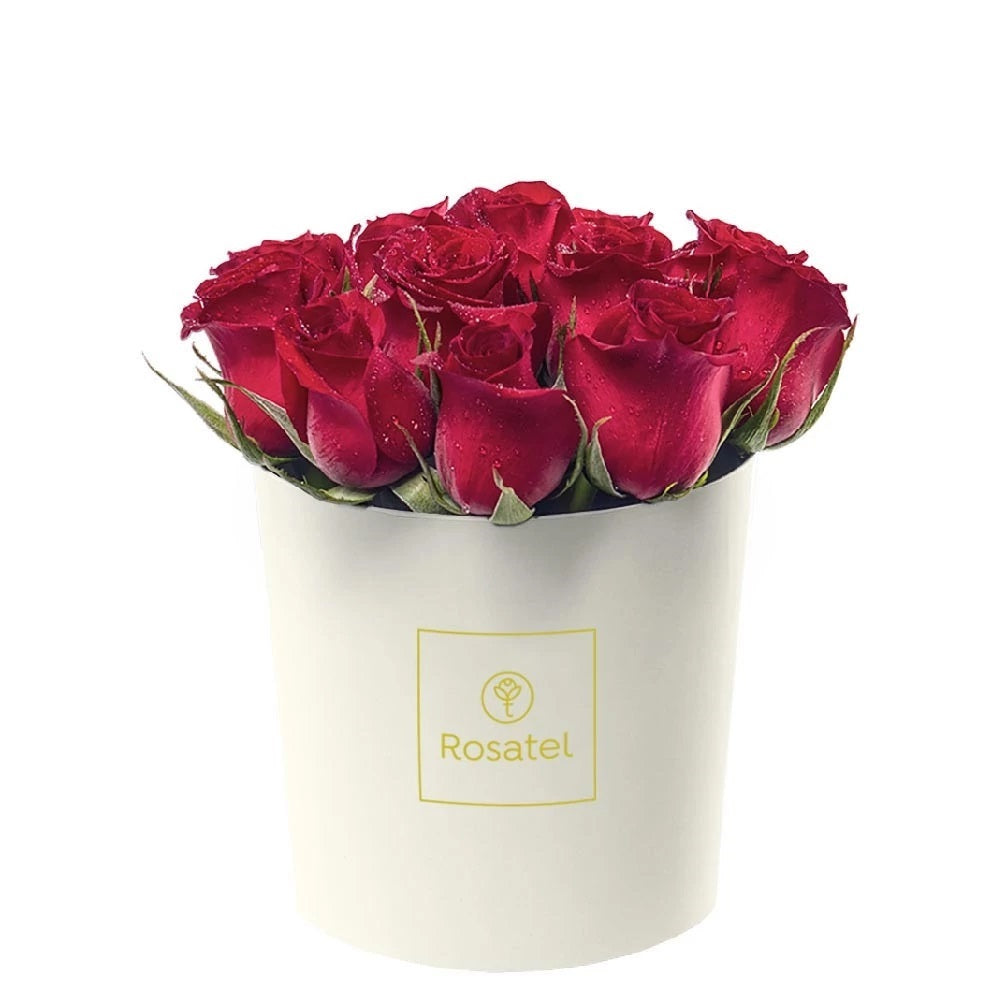 Sombrerera crema mediana 12 rosas rojas