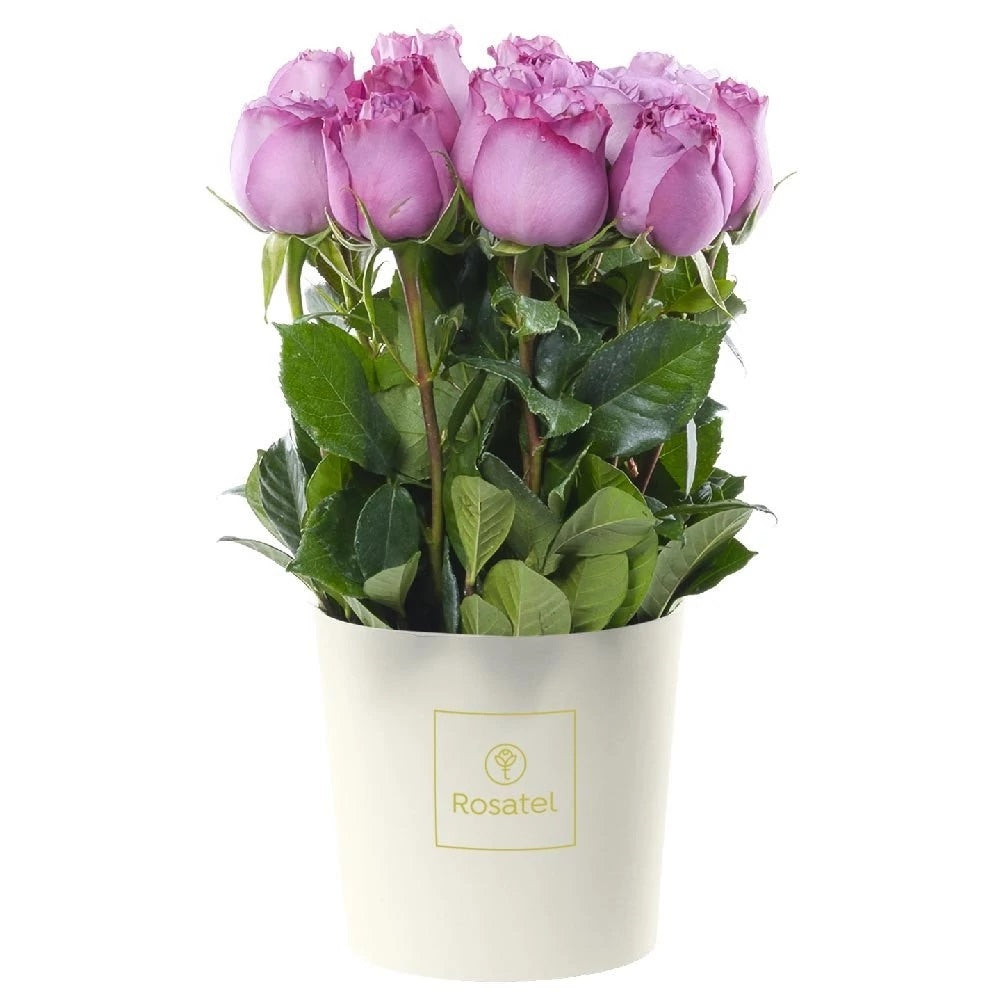 Sombrerera crema mediana 15 rosas lila