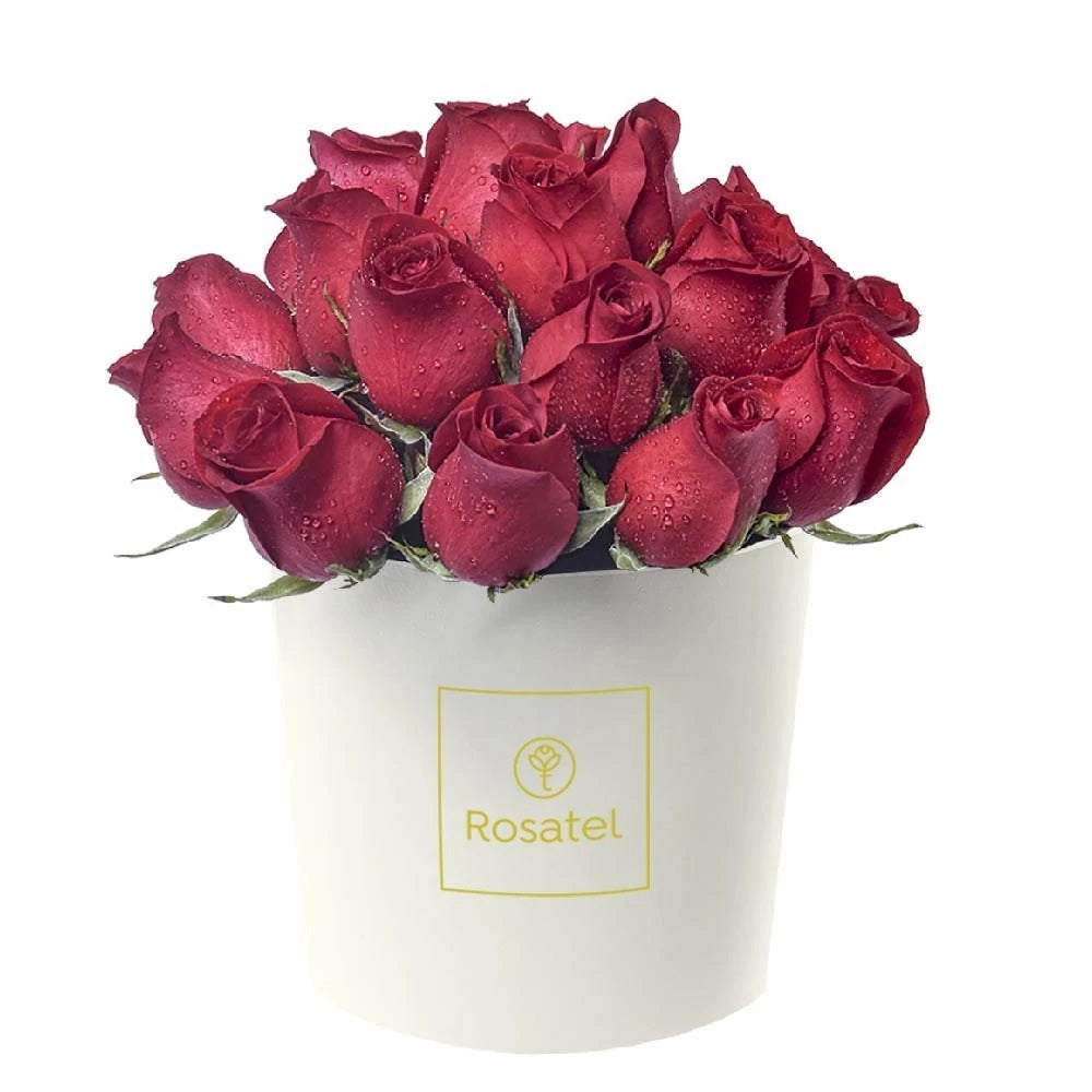 Sombrerera crema mediana 21 rosas rojas