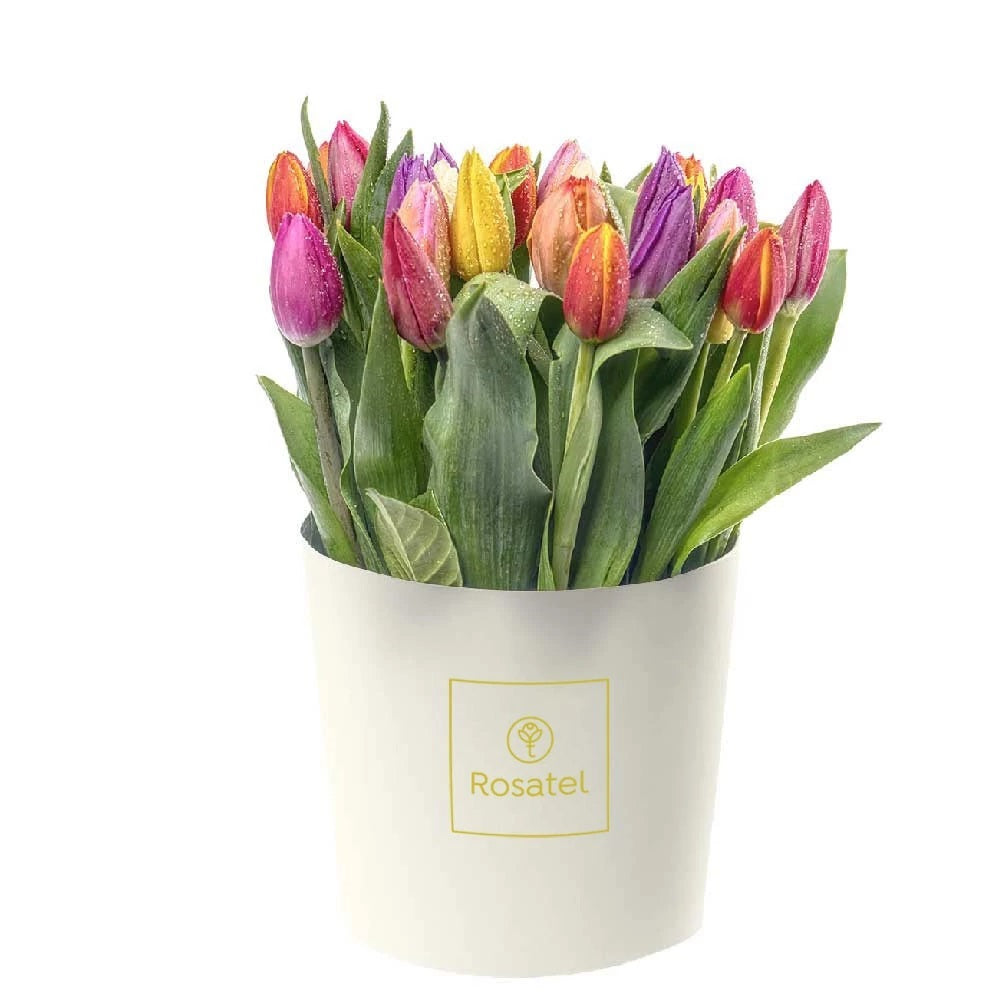Sombrereera crema mediana con 22 tulipanes variados
