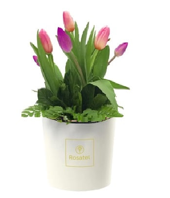 Sombrerera crema mediana con 8 tulipanes