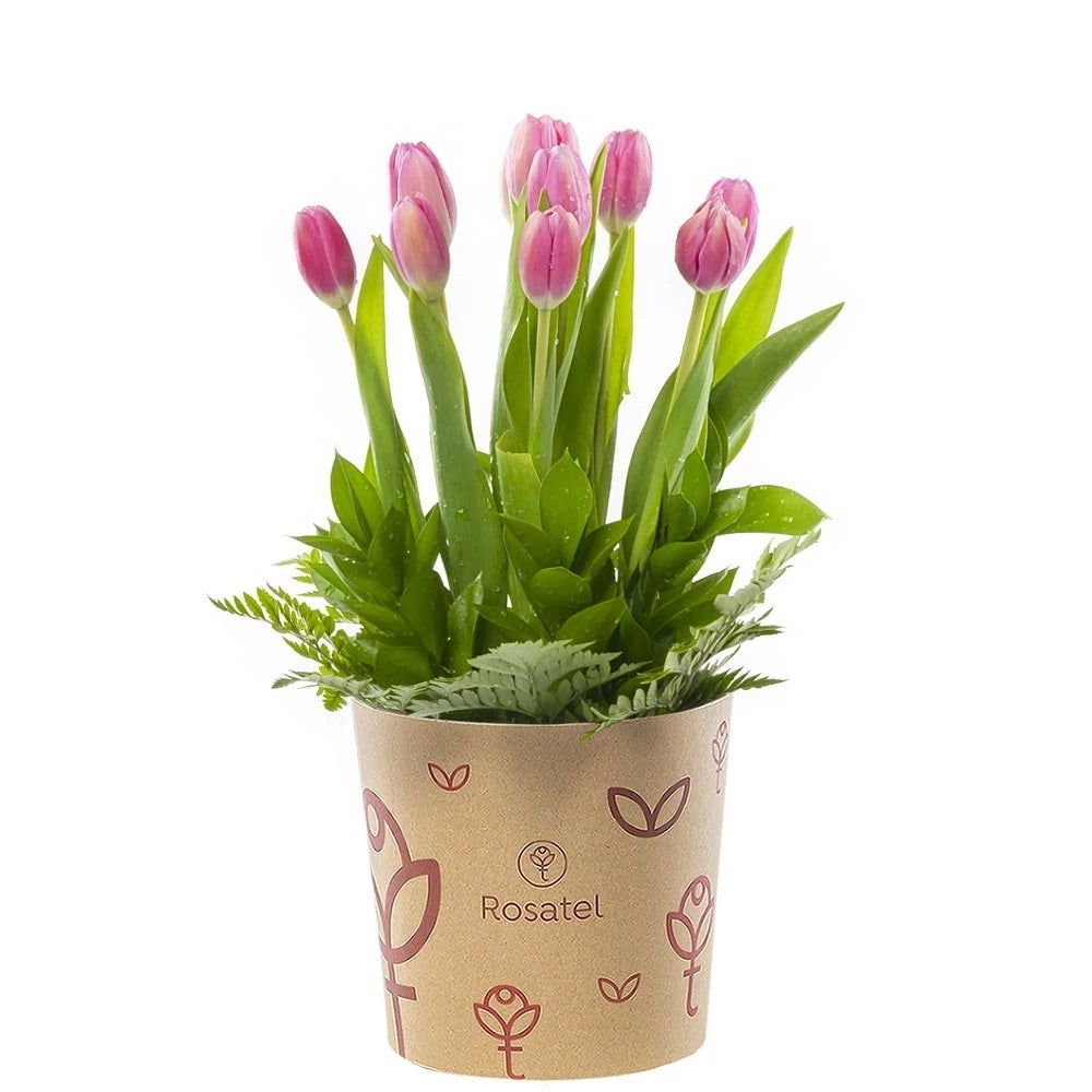 Sombrerera kraft mediana 10 tulipanes