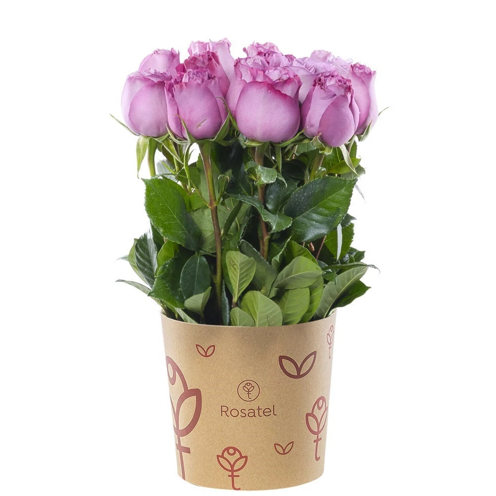 Sombrerera kraft mediana 15 rosas lilas