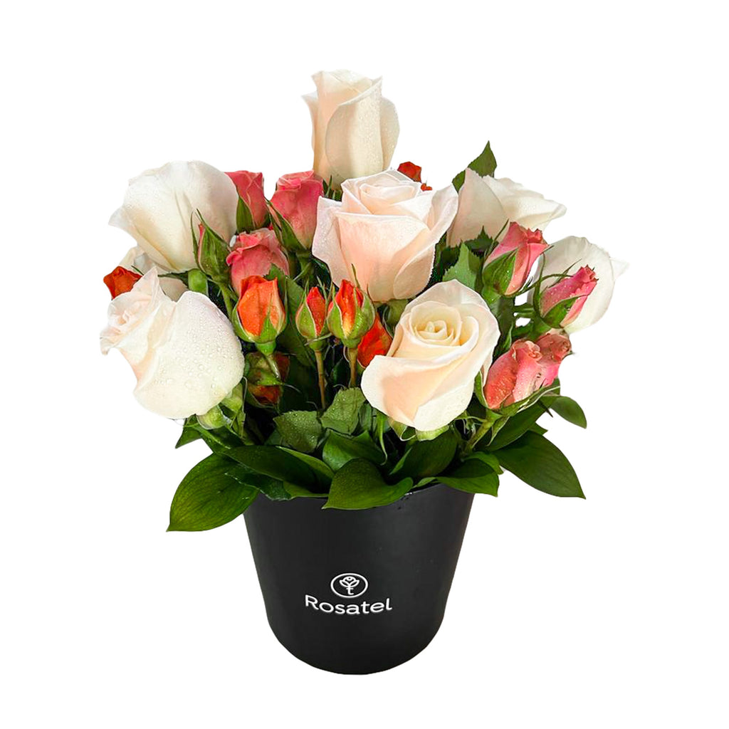 Sombrerera negra 10 rosas blancas y minirosas