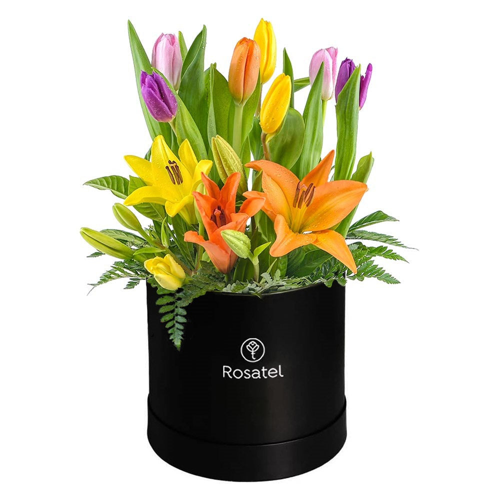 Sombrerera negra 10 tulipanes y lilium
