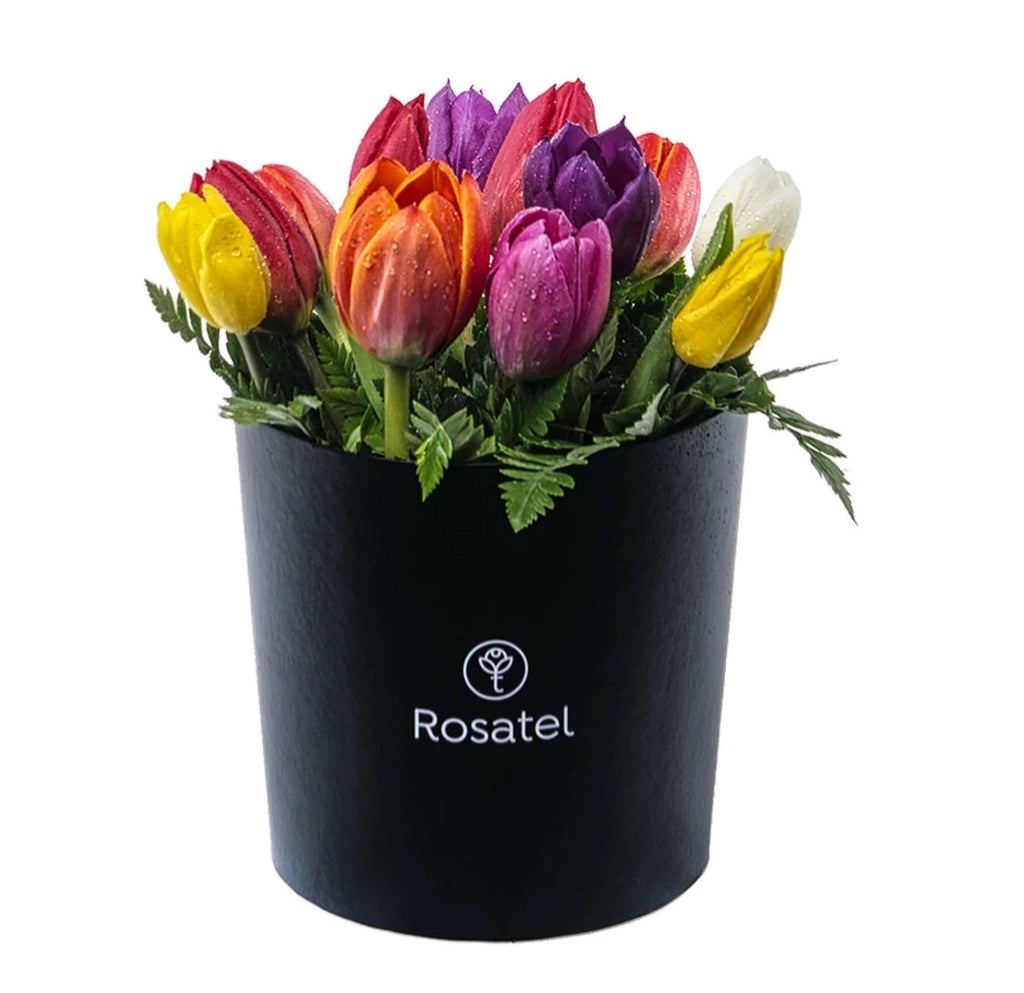 Sombrerera negra 12 tulipanes variados