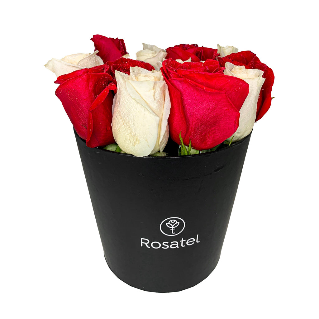 Sombrerera negra 14 rosas bicolor