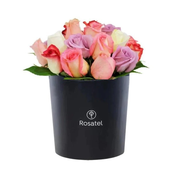 Sombrerera negra 16 rosas variadas
