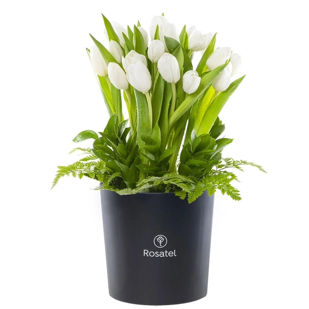 Sombrerera negra 20 tulipanes