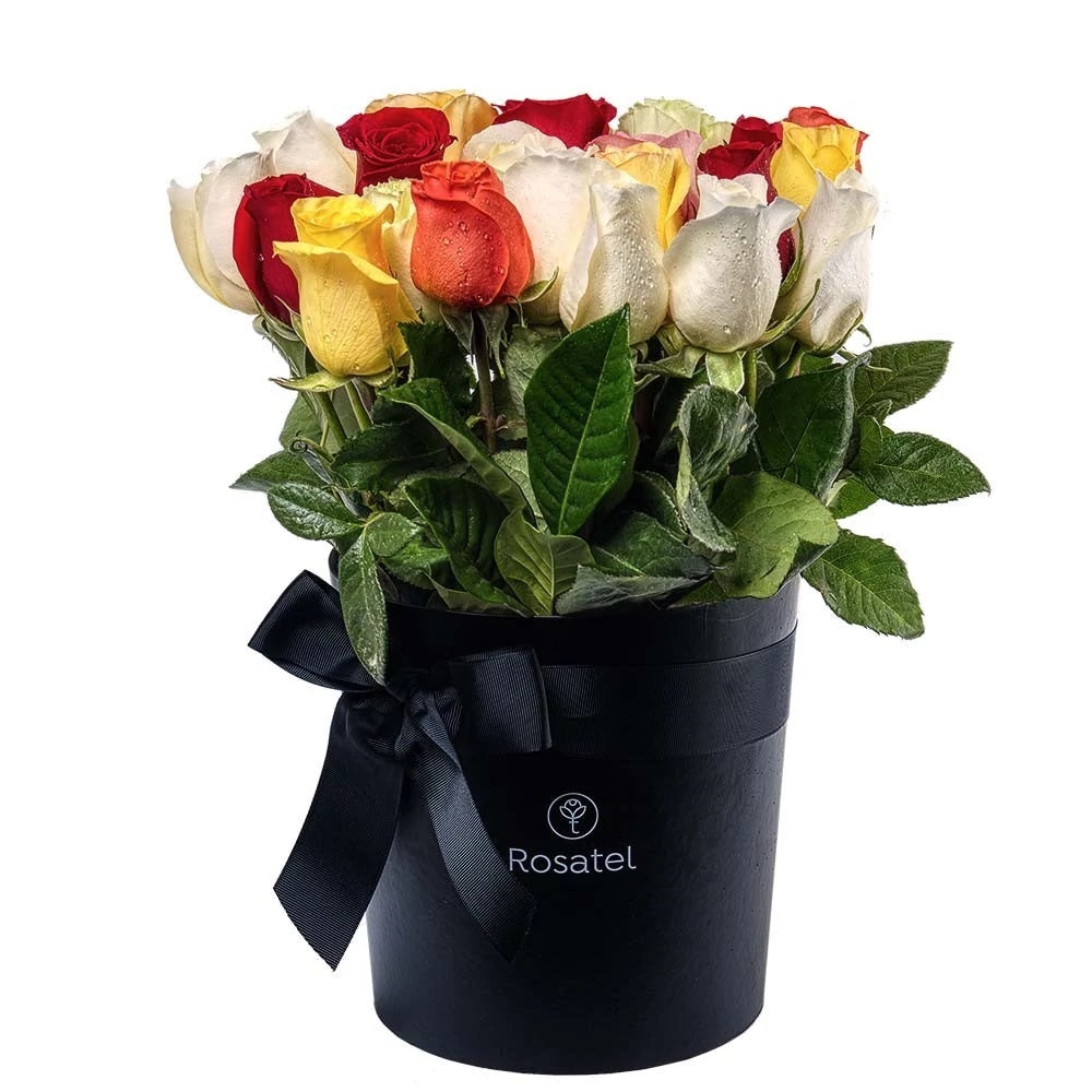 Sombrerera_negra_25_rosas_variadas
