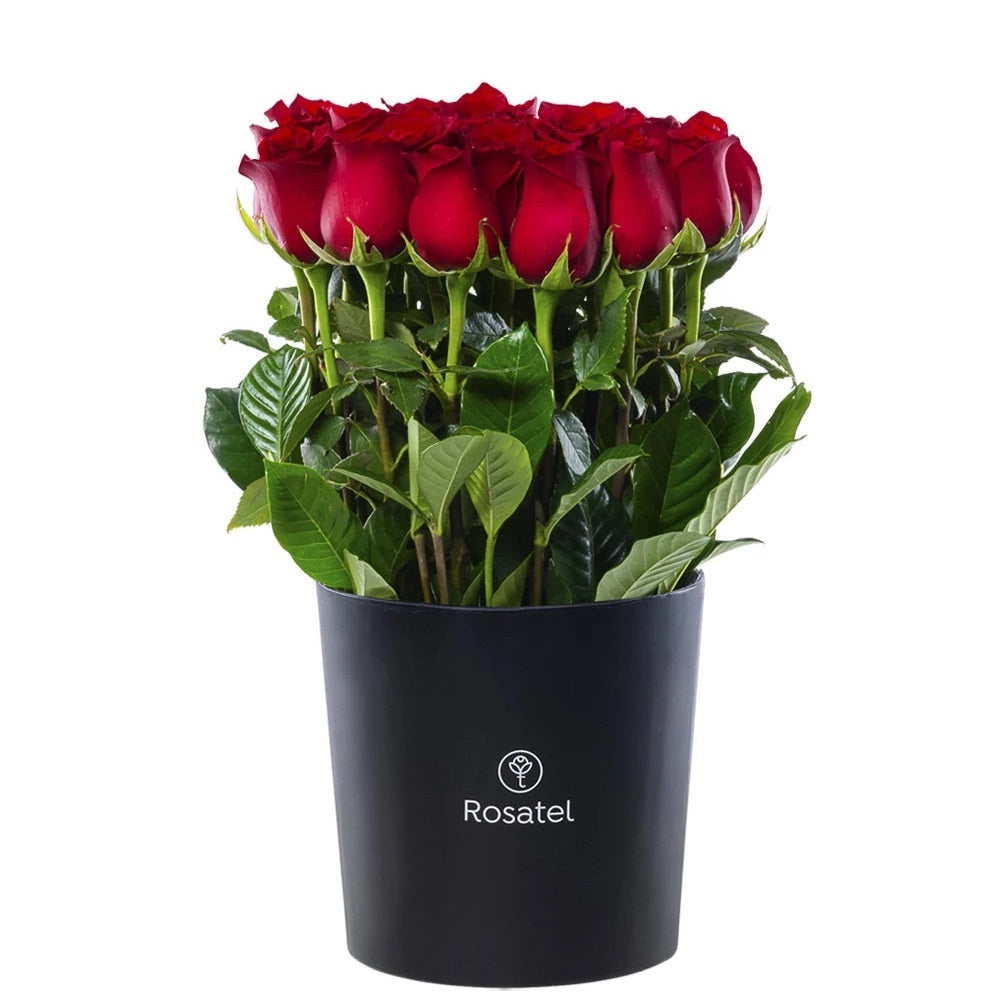 Sombrerera negra 25 rosas