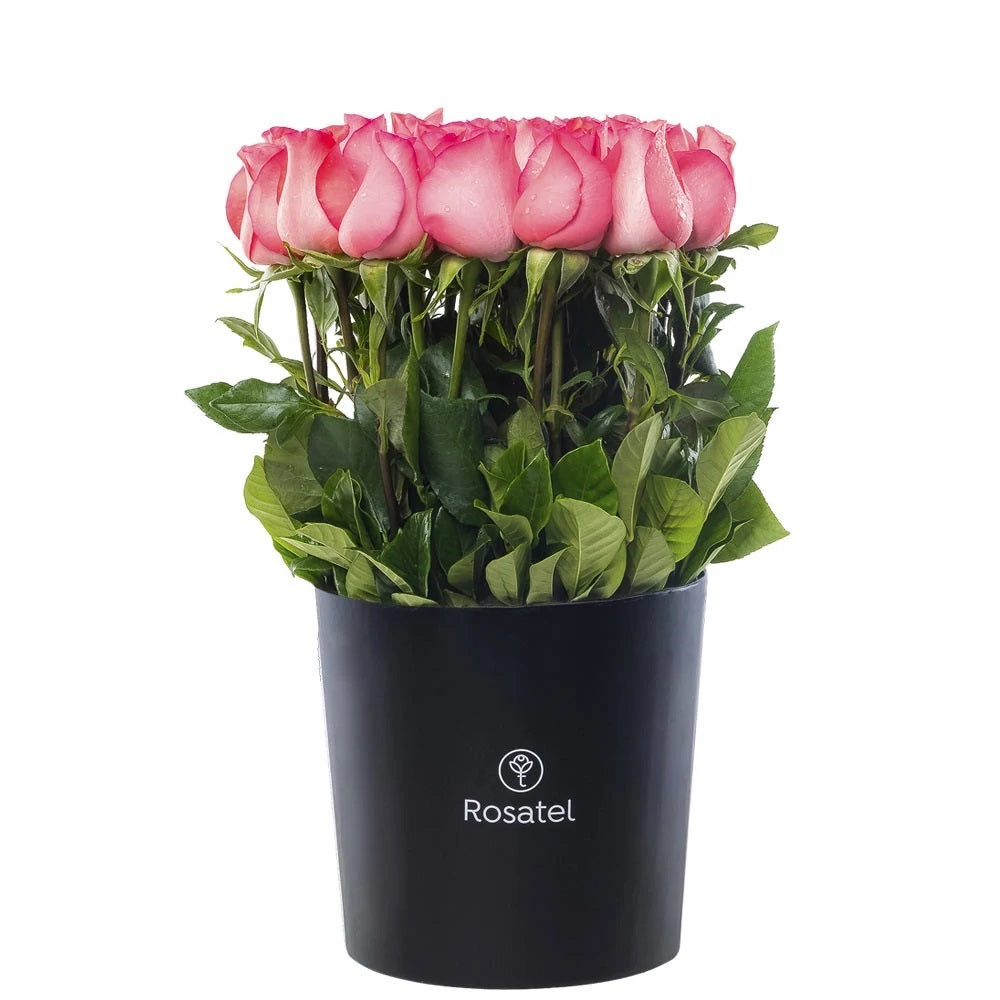 Sombrerera negra 25 rosas rosadas