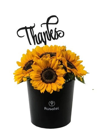 Sombrerera negra 6 girasoles varilla thanks