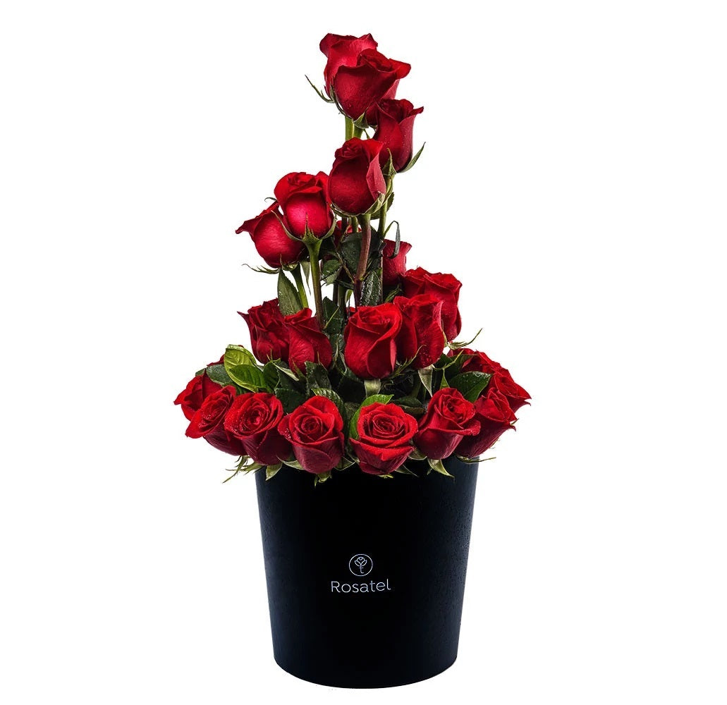 Sombrerera negra con 30  rosas