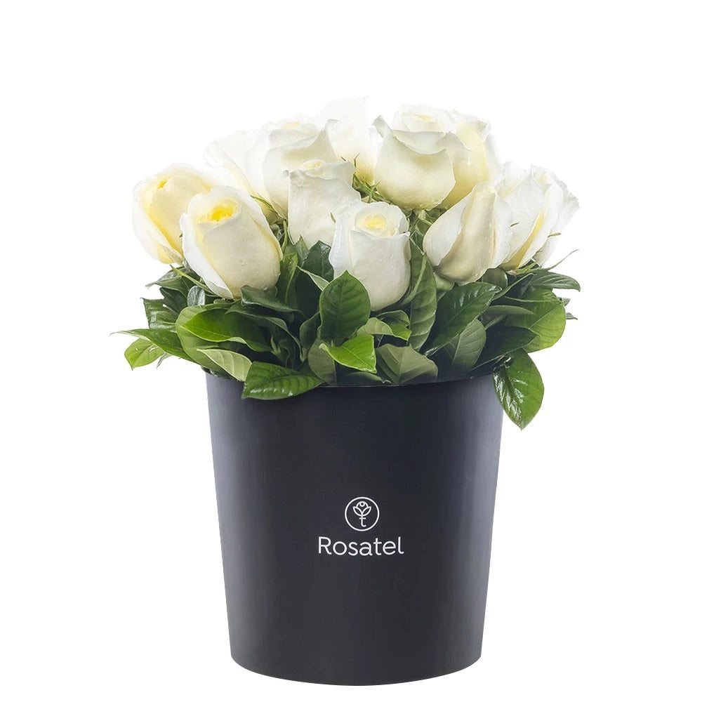 Sombrerera negra grande 15 rosas blancas
