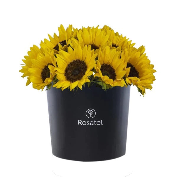 Sombrerera negra grande 15 rosas girasoles