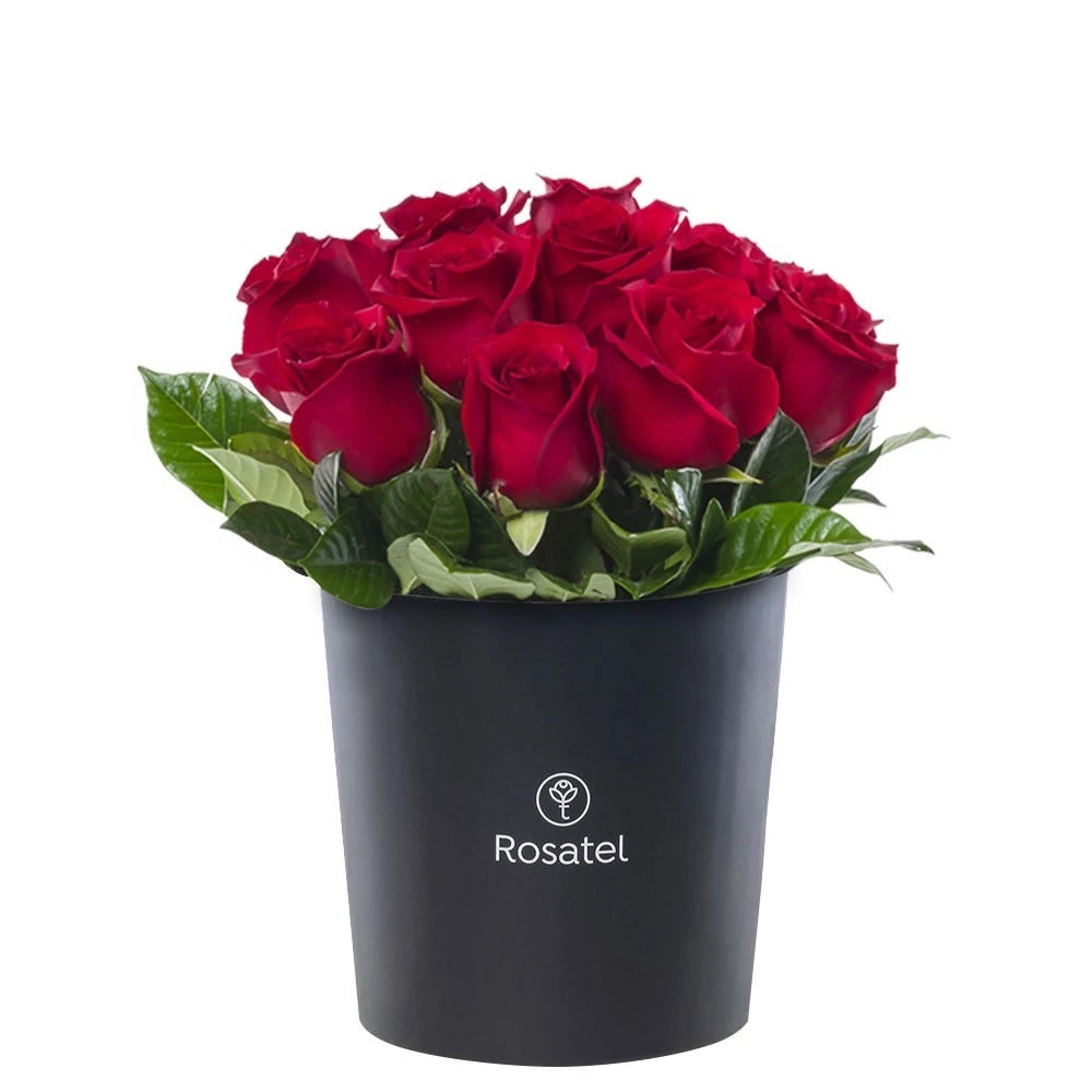 Sombrerera negra grande 15 rosas rojas