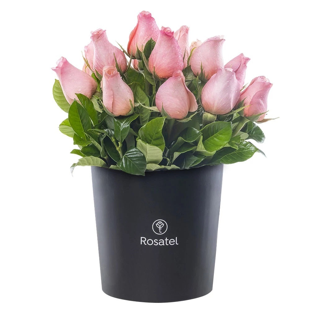 Sombrerera negra grande 15 rosas rosadas