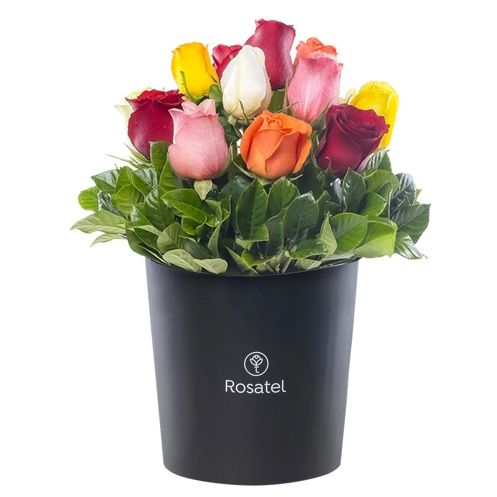 Sombrerera negra grande 15 rosas variadas