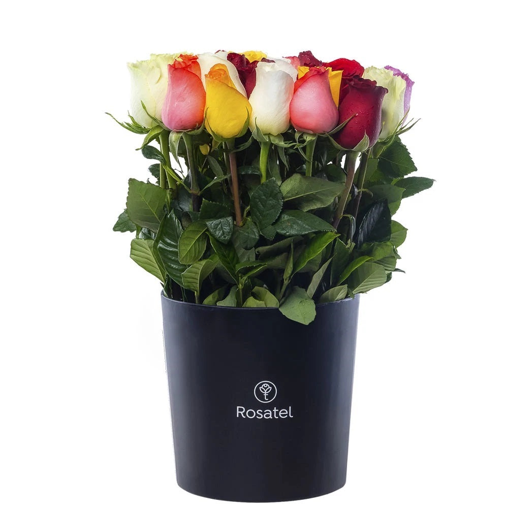 Sombrerera negra grande 25 rosas variadas