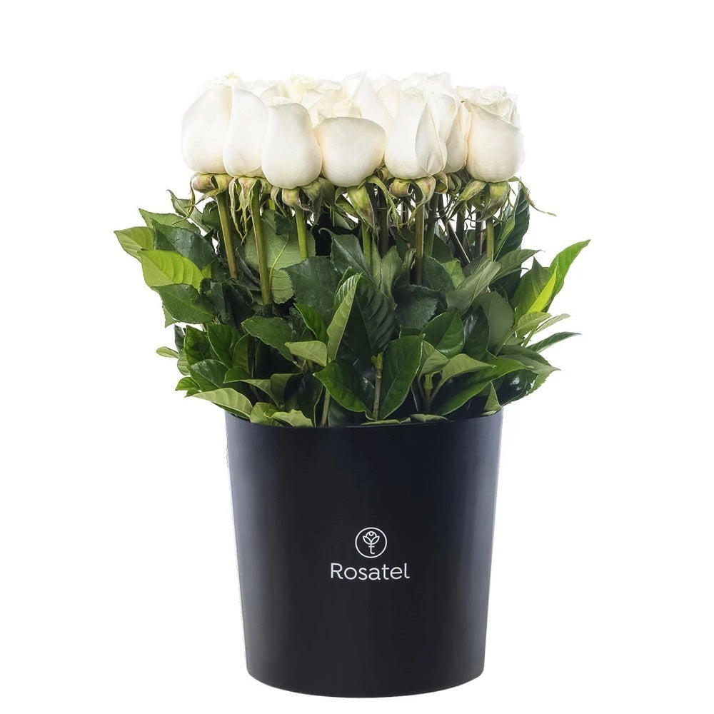 Sombrerera negra condolencias con 25 rosas blancas