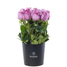Sombrerera negra mediana 15 rosas lilas