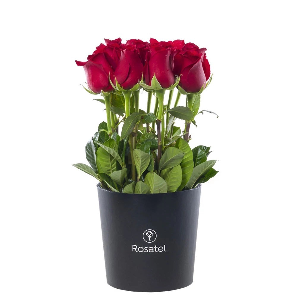 Sombrerera negra mediana 15 rosas rojas