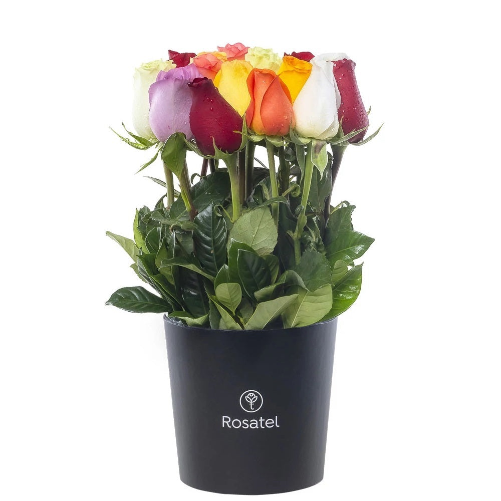 Sombrerera negra mediana 15 rosas variadas